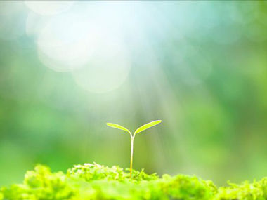 中國科學技術大學公開課：系統生物學與生命